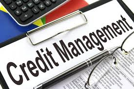 Credit and Collections Software'