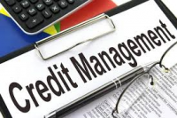 Credit and Collections Software