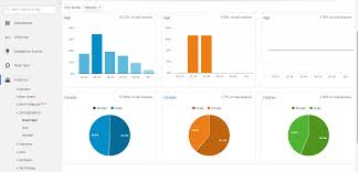 Global Audience Analytics Market