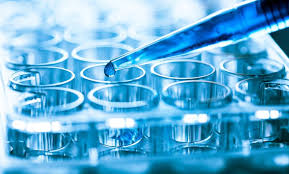 Global Research Antibodies Market