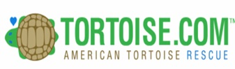 American Tortoise Rescue'