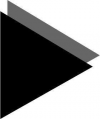Company Logo For Black Turtle Diginovation Pvt Ltd'