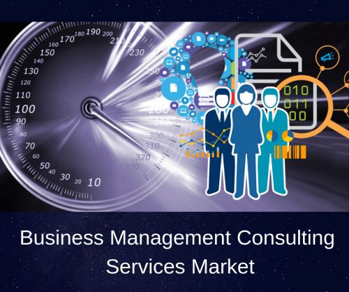 Business Management Consulting Services Market'