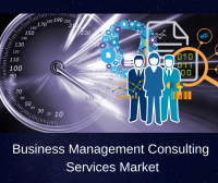 Business Management Consulting Services Market