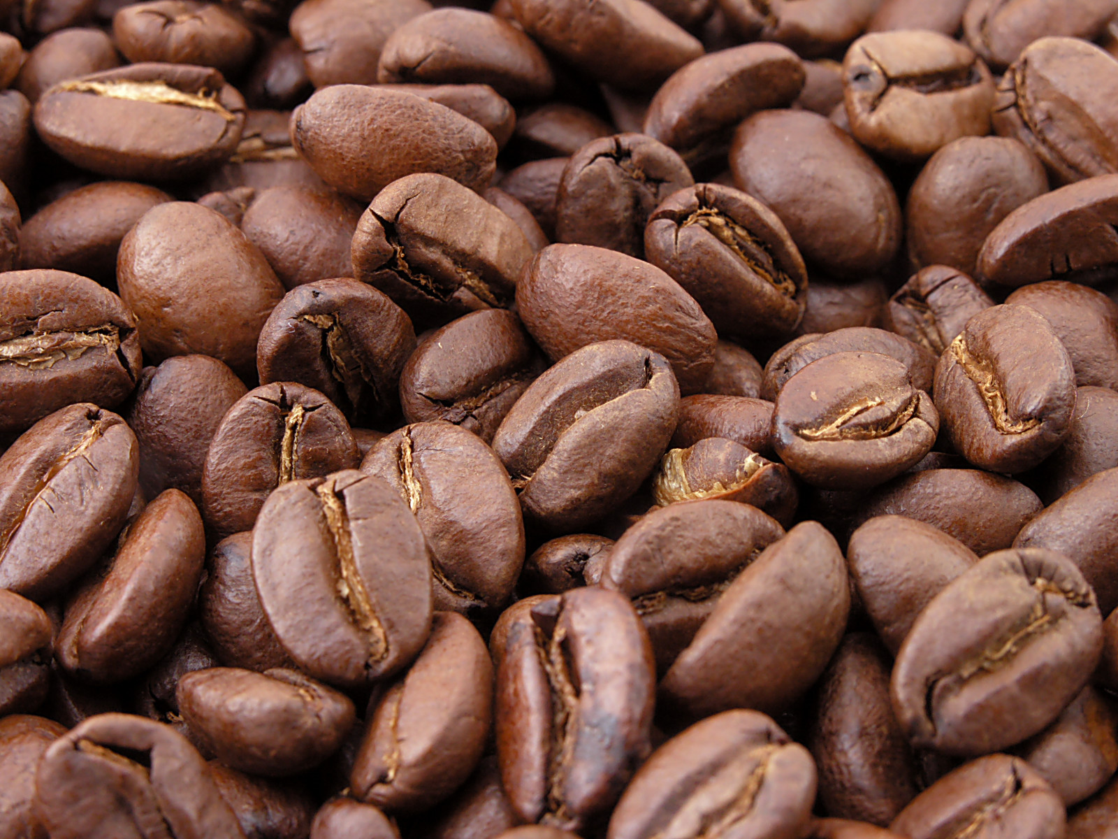 Coffee Grounds Market: analysis report with Leading players'