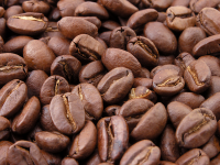 Coffee Grounds Market: analysis report with Leading players