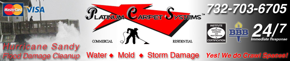 Platinum Carpet Systems & Restoration