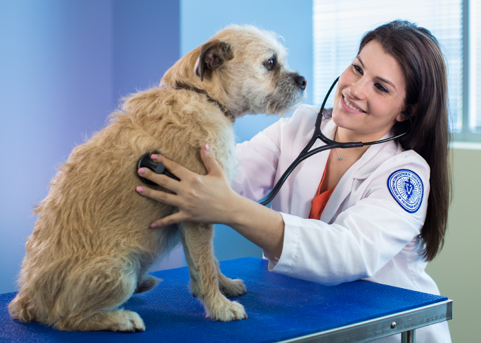 Global Companion Animal Health Market'