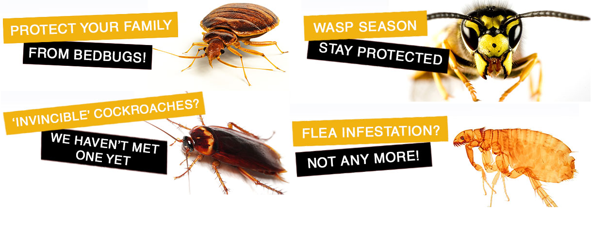 Company Logo For Hubert Moore Exterminator'