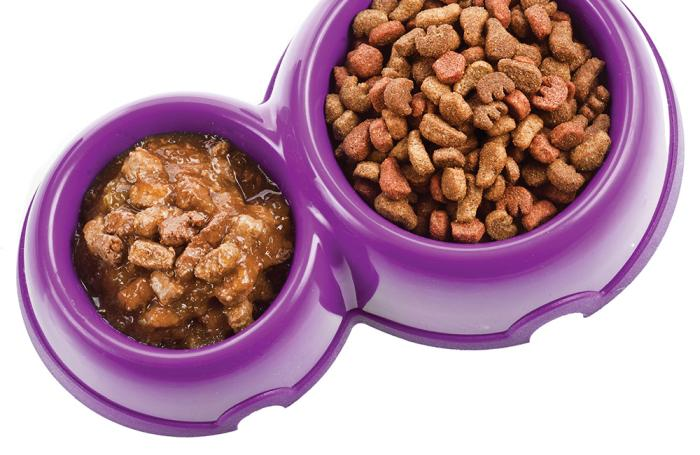 Wet Pet Food Market