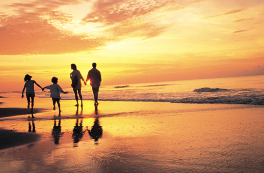 Family Travel Market