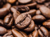 Company Logo For Coffee Beans Exporter Indoenesia Tanihood'