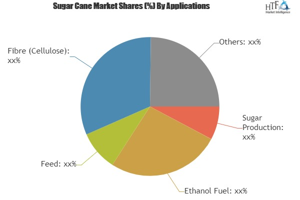 Sugar Cane Market Analysis &amp; Forecast For Next 5 Yea