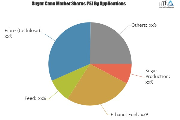 Sugar Cane Market Analysis &amp;amp; Forecast For Next 5 Yea'