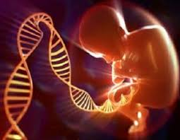 Prenatal and New-born Genetic Testing Market'