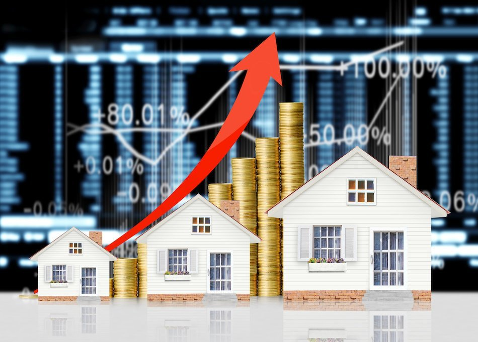 Real estate investment