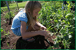 Bentley Seeds Launches New Giving Page'