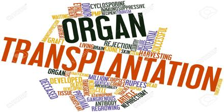 Organ Transplantation Market'