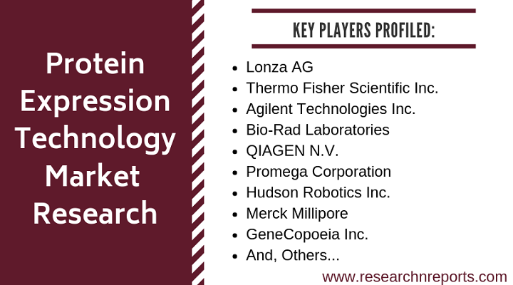 Protein Expression Technology Market