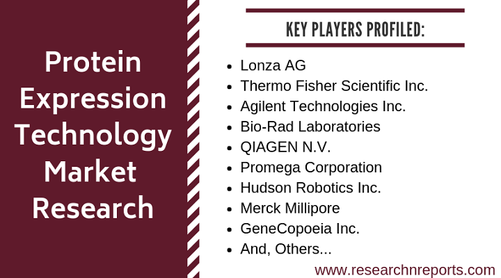 Protein Expression Technology Market'