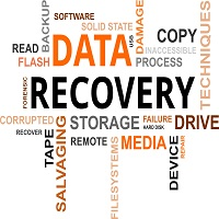 Data Resiliency Market