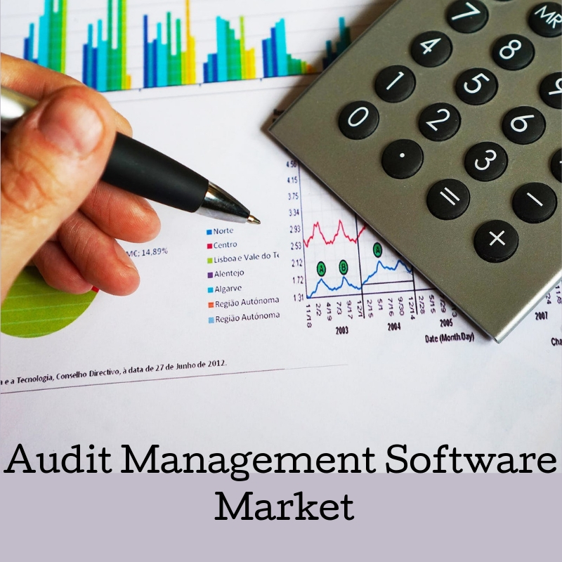 Audit Management Software Market