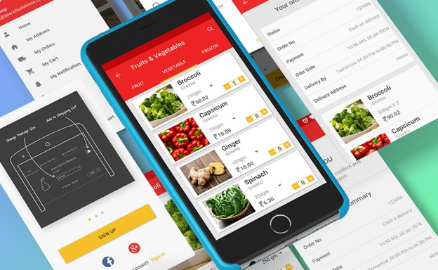 Grocery Delivery Software'