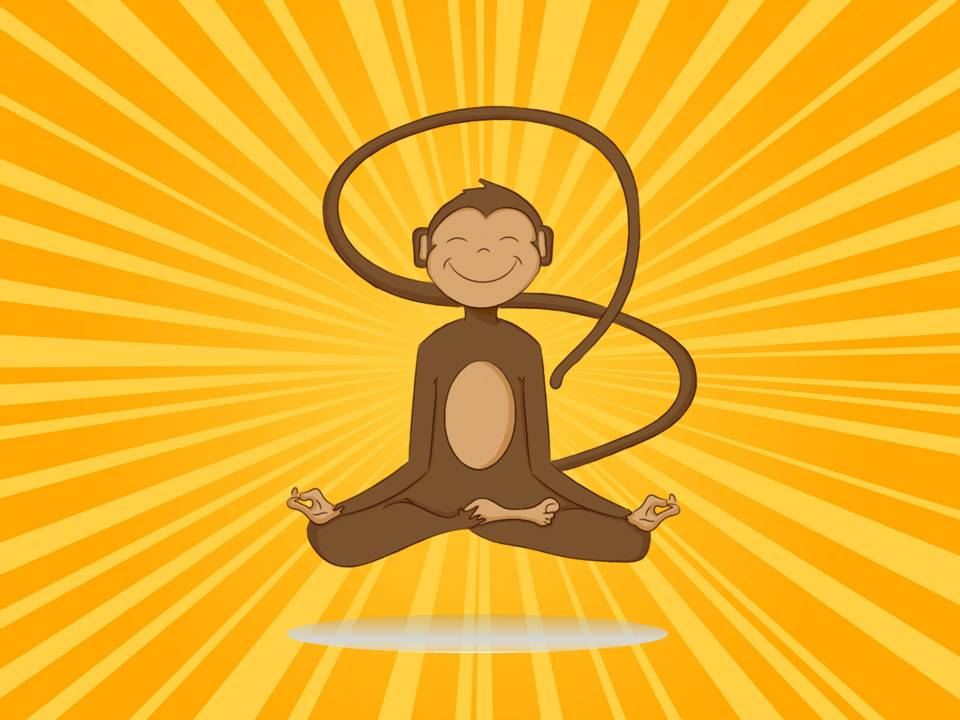 Meditating Monkey'
