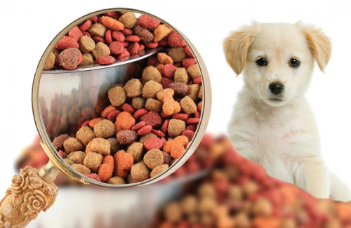 Global Pet Raw Food Market Status and Outlook'