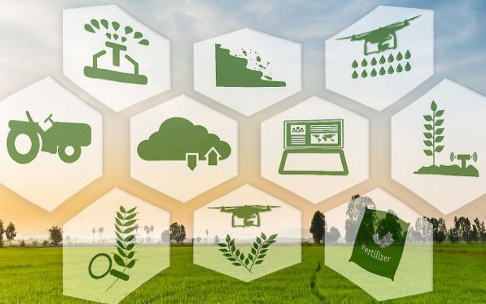 Blockchain in Agriculture Market'