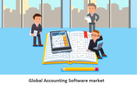 Global Accounting Software market
