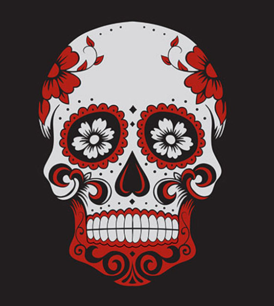 Free Vector Designs Logo