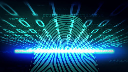 Fingerprint Biometrics Market'