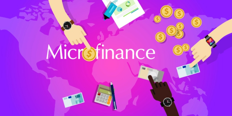 Digital Transformation in the Microfinance Sector market'