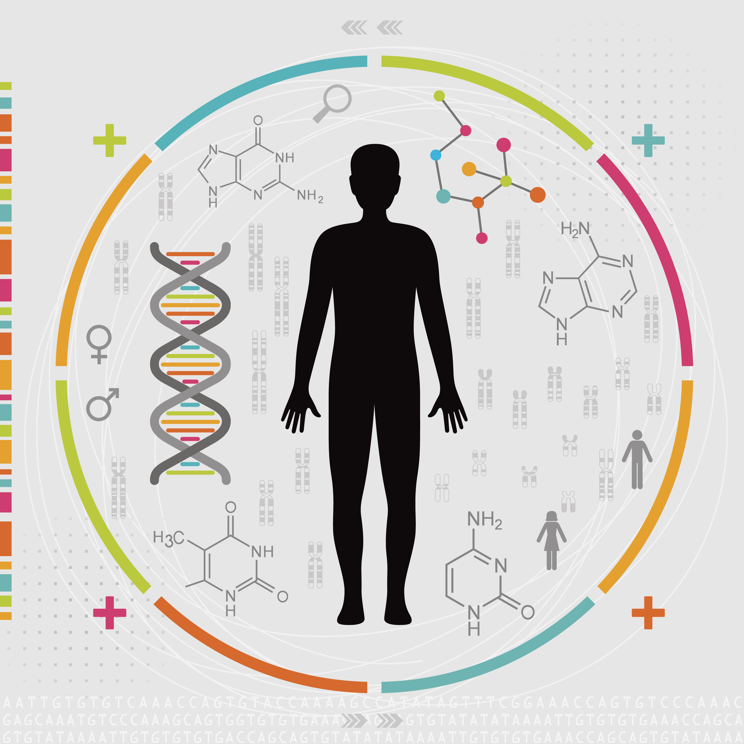 Precision Medicine Market