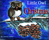 Little Owl at Christmas