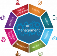 API Management market