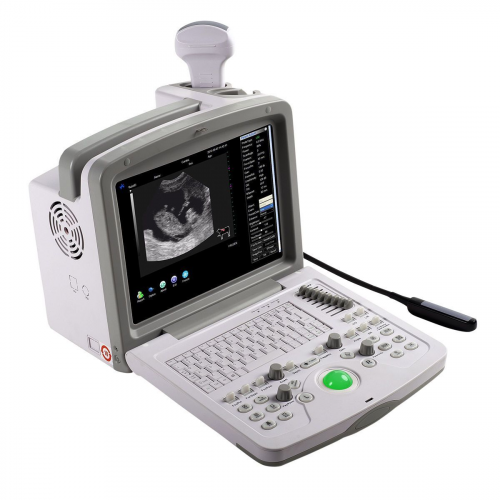 Veterinary Ultrasound Scanners Market'