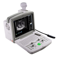 Veterinary Ultrasound Scanners Market