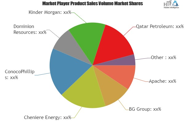 Liquefied Natural Gas Market'