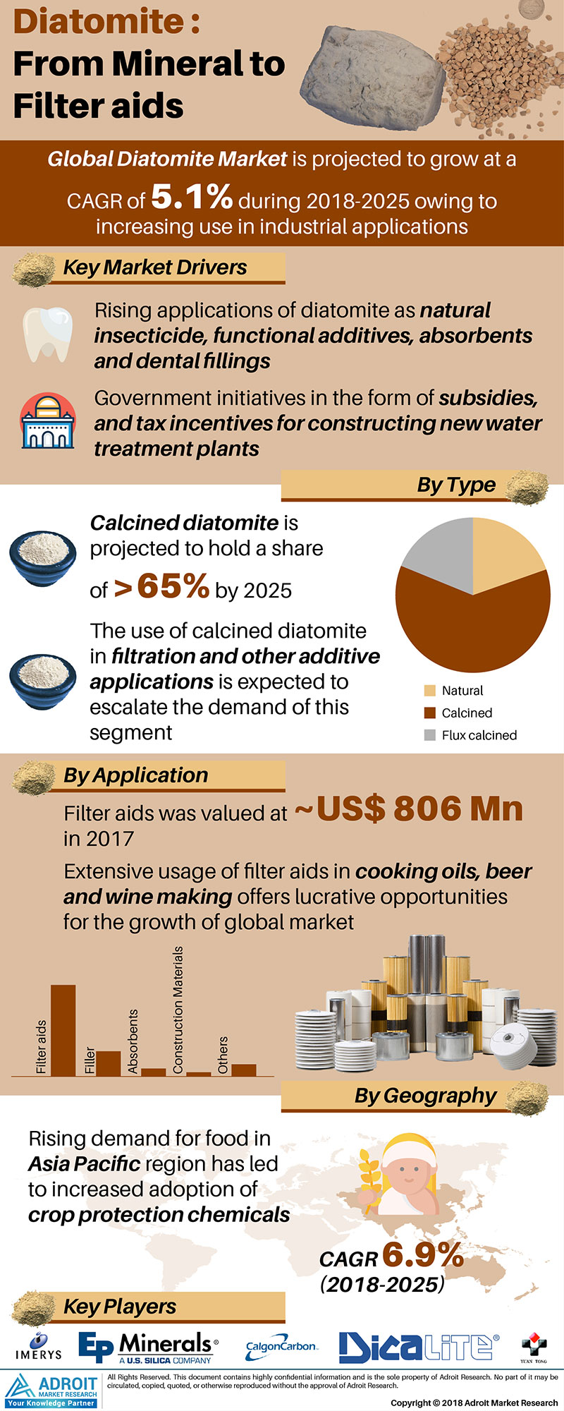 Diatomite Market Size, Share, Trends | Industry Analysis, 20