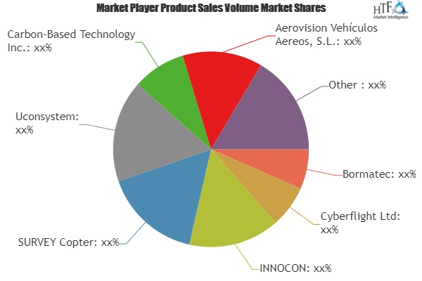 Mini UAV Market