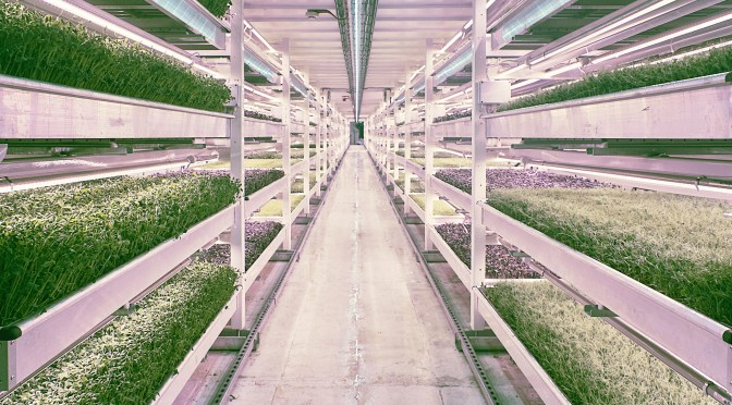 Vertical Farming Market