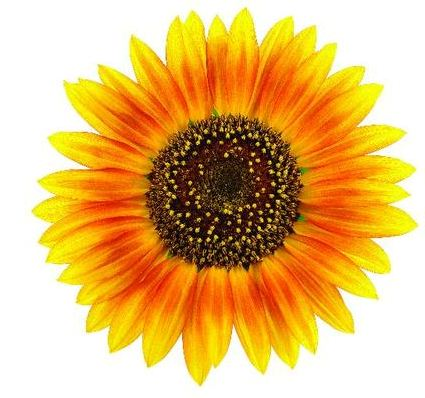 Maine-Tucker Recruitment Ltd