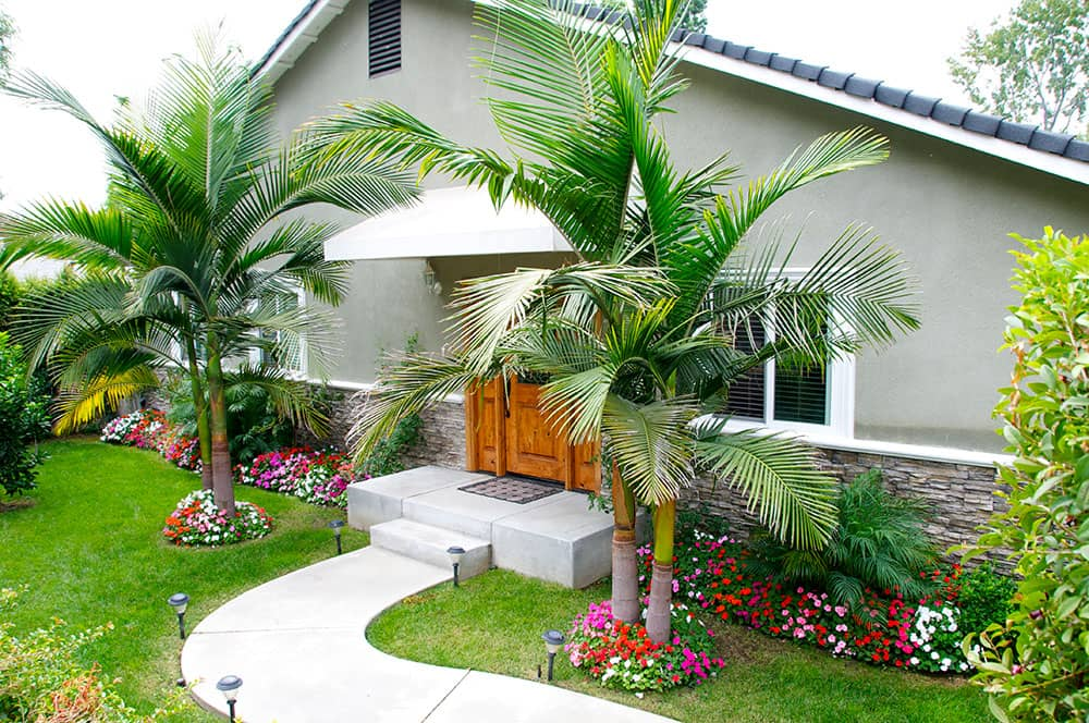 Alcohol Detox Los Angeles'