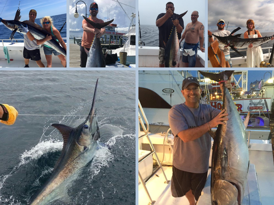 Company Logo For Ocean City Girl'