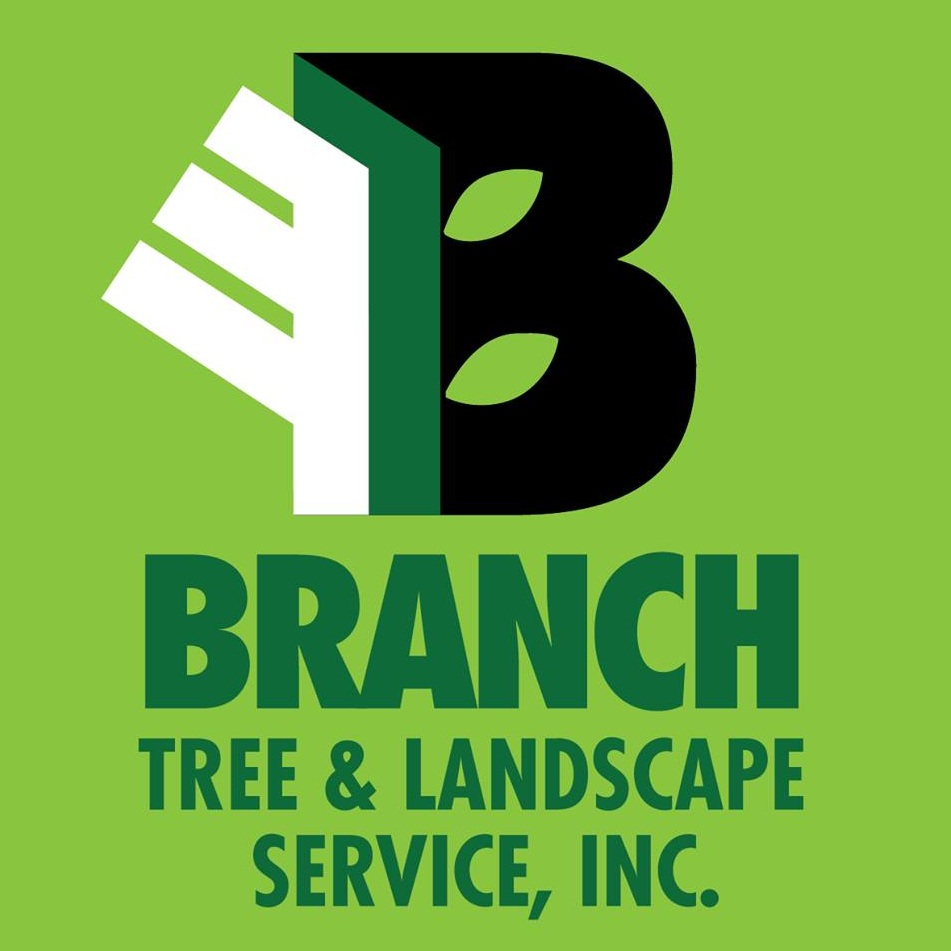 Branch Tree &amp; Landscape Service'