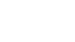 LionSea Software inc