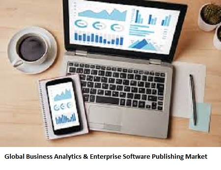Business Analytics &amp; Enterprise Software Publishing'