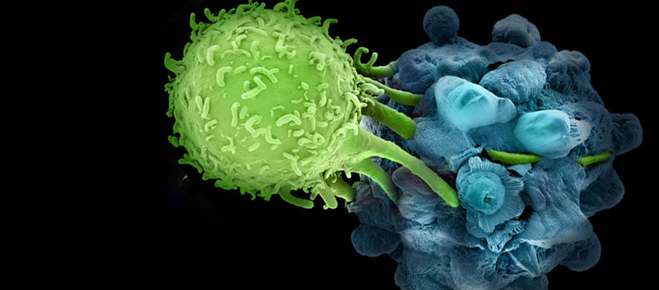 Cancer Immunotherapy Market'